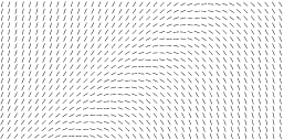  mpfields.6 