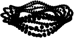  torus.1 