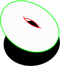  torus.6 